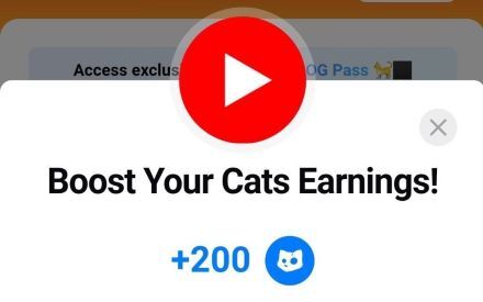 جواب کد یوتیوب boost your cats earnings در کتز